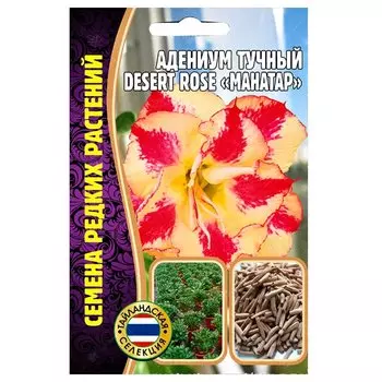 Адениум Desert Rose Mahatap Редкие семена