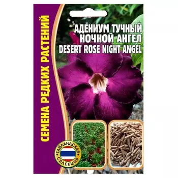 Адениум Desert Rose Ночной ангел Редкие семена