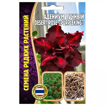 Адениум Desert Rose Purple King Редкие семена
