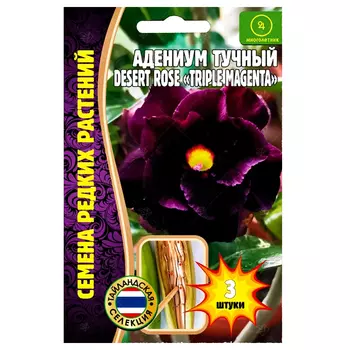 Адениум Desert Rose Triple Magenta Редкие семена