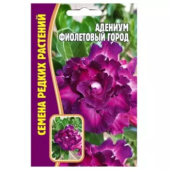 Адениум Фиолетовый город Редкие семена