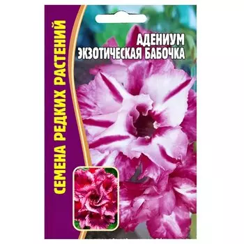 Адениум Экзотическая бабочка Редкие семена