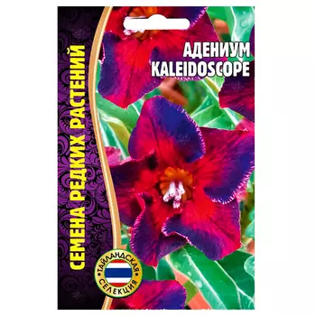 Адениум Kaleidoscope Редкие семена