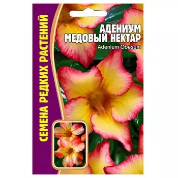 Адениум Медовый нектар Редкие семена