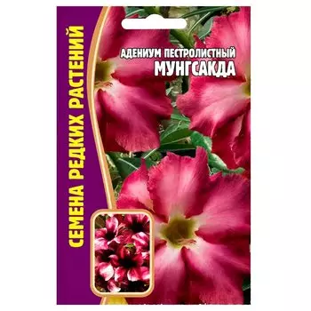 Адениум Мунгсакда Редкие семена