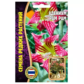 Адениум Pam Pam Редкие семена