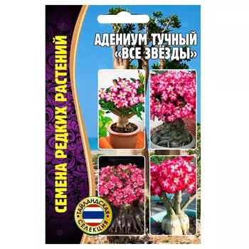 Адениум Все звезды Редкие семена