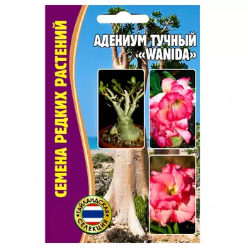 Адениум Wanida Редкие семена