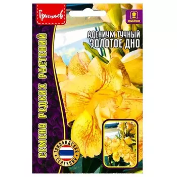 Адениум Золотое дно Редкие семена