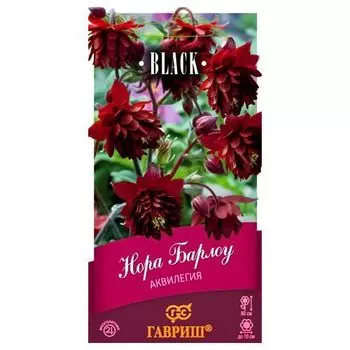 Аквилегия Нора Барлоу Гавриш