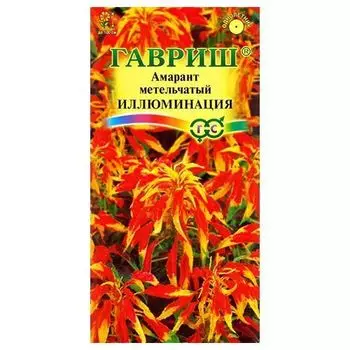 Амарант Иллюминация Гавриш