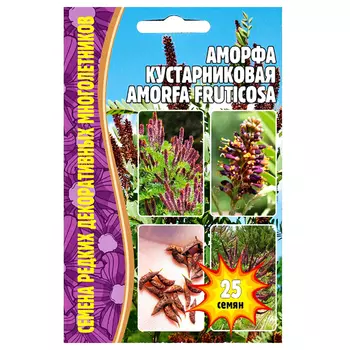 Аморфа кустарниковая Редкие семена