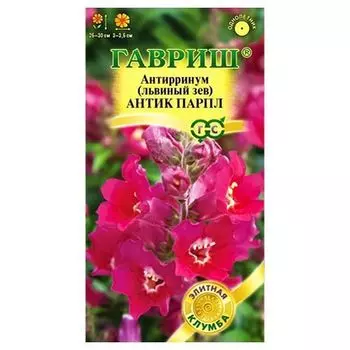 Антирринум Антик Парпл Гавриш