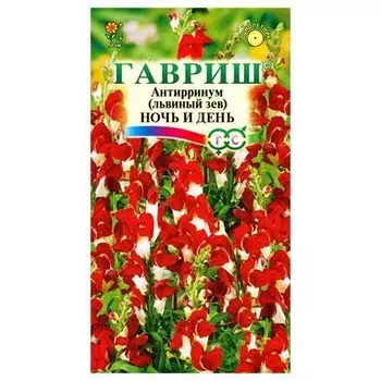 Антирринум Ночь и день Гавриш