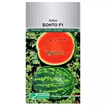 Арбуз Бонто F1 Евросемена