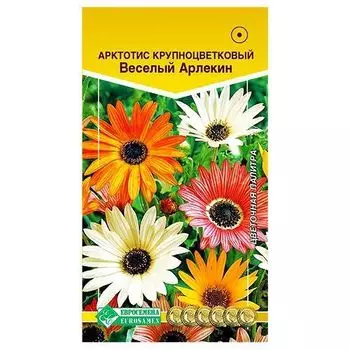 Арктотис Веселый арлекин, смесь окрасок Евросемена