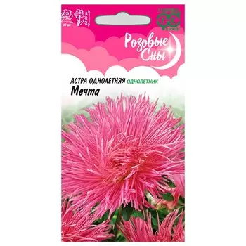 Астра игольчатая Мечта Гавриш