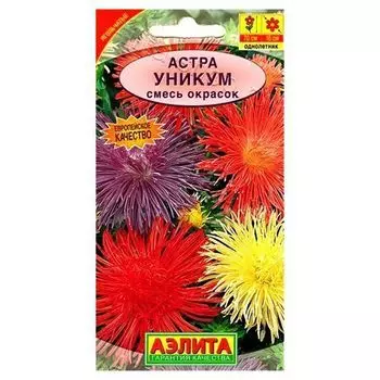 Астра игольчатая Уникум, смесь окрасок Аэлита