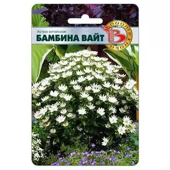 Астра китайская Бамбина Вайт Биотехника