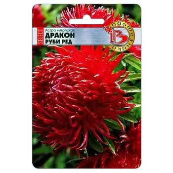 Астра китайская Дракон селект Руби Ред Биотехника