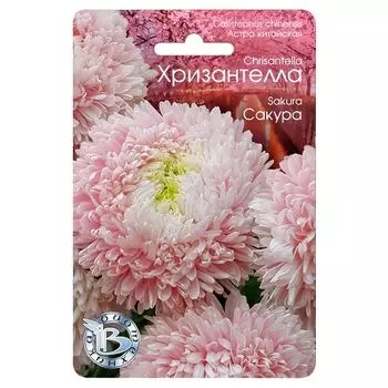 Астра китайская Хризантелла Сакура Биотехника
