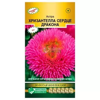 Астра китайская Хризантелла Сердце дракона Евросемена