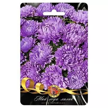 Астра китайская Май Леди Лилак Биотехника