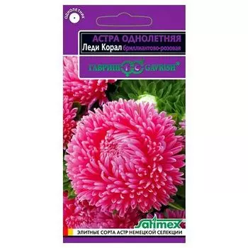 Астра Леди Корал бриллиантово-розовая Гавриш