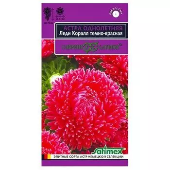 Астра Леди Корал темно-красная Гавриш