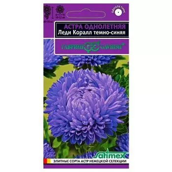 Астра Леди Корал темно-синяя Гавриш