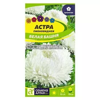 Астра пионовидная Белая башня Семена Алтая