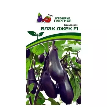 Баклажан Блэк Джек F1 Партнер