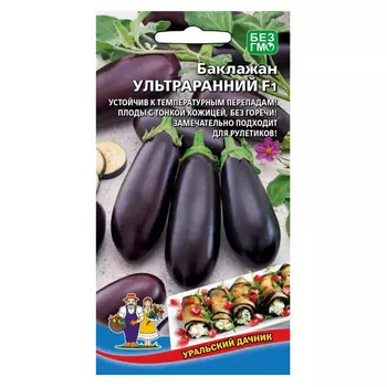 Баклажан Ультраранний Уральский дачник