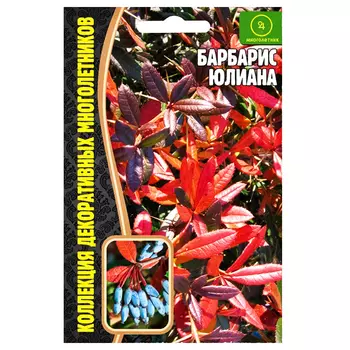 Барбарис Юлиана Редкие семена