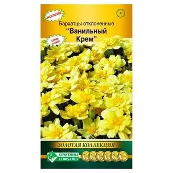Бархатцы отклоненные Ванильный крем Евросемена