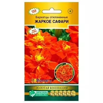 Бархатцы отклоненные Жаркое сафари Евросемена