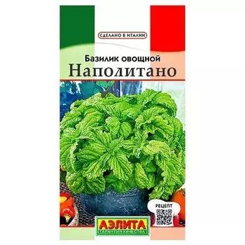 Базилик зеленый Наполитано Аэлита