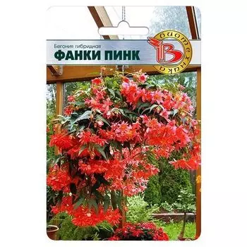 Бегония гибридная ампельная Фанки Пинк Биотехника