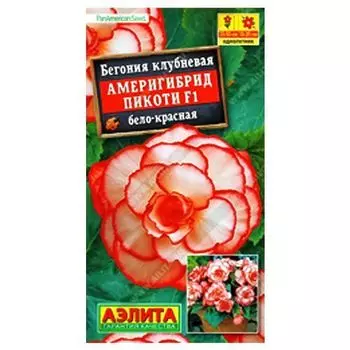 Бегония клубневая Америгибрид Пикоти бело-красная F1 Аэлита