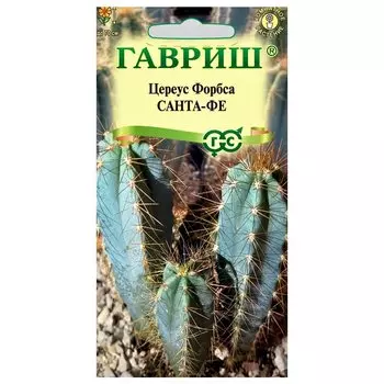 Цереус Форбса (кактус) Санта-Фе Гавриш