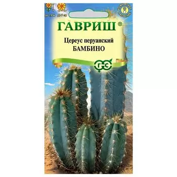 Цереус перуанский (кактус) Бамбино Гавриш