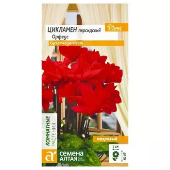 Цикламен махровый Орфеус Семена Алтая