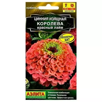 Цинния Королева Красный Лайм Аэлита
