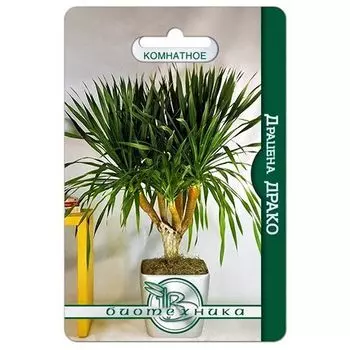 Драцена Драко Биотехника