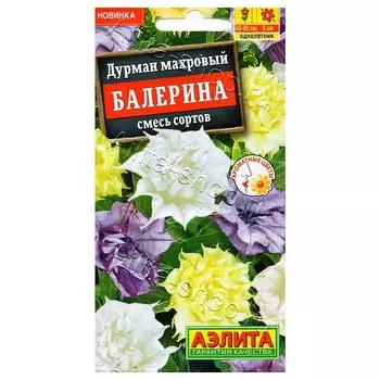 Дурман Балерина, смесь окрасок Аэлита