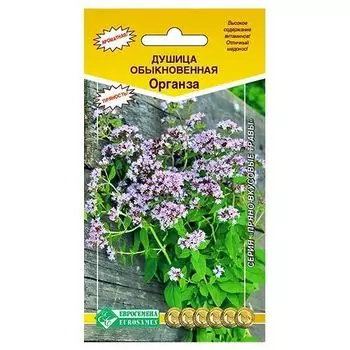 Душица (орегано) обыкновенная Органза Евросемена