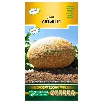 Дыня Алтын F1 Евросемена