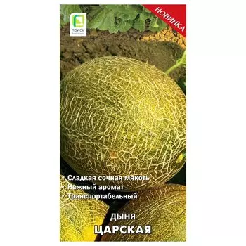 Дыня Царская Поиск
