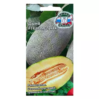 Дыня Карамельная F1 Седек