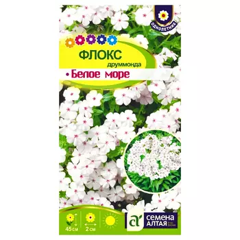 Флокс Друммонда Белое море Семена Алтая